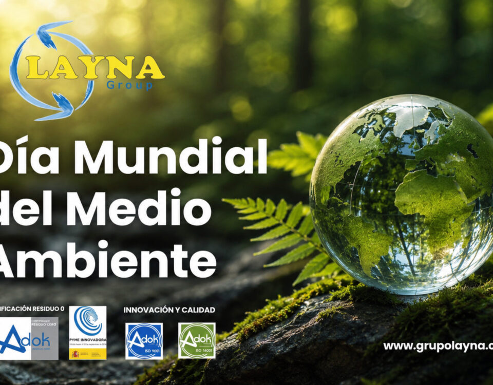 Dia-mundial-del-medio-ambiente-Grupo-Layna-RLG24