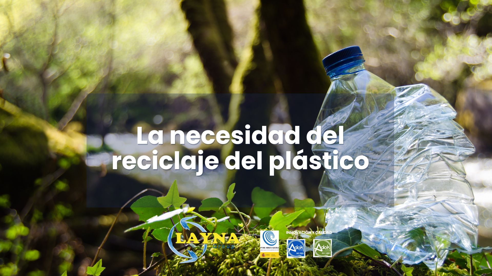 La necesidad del reciclaje del plástico – GRUPO LAYNA
