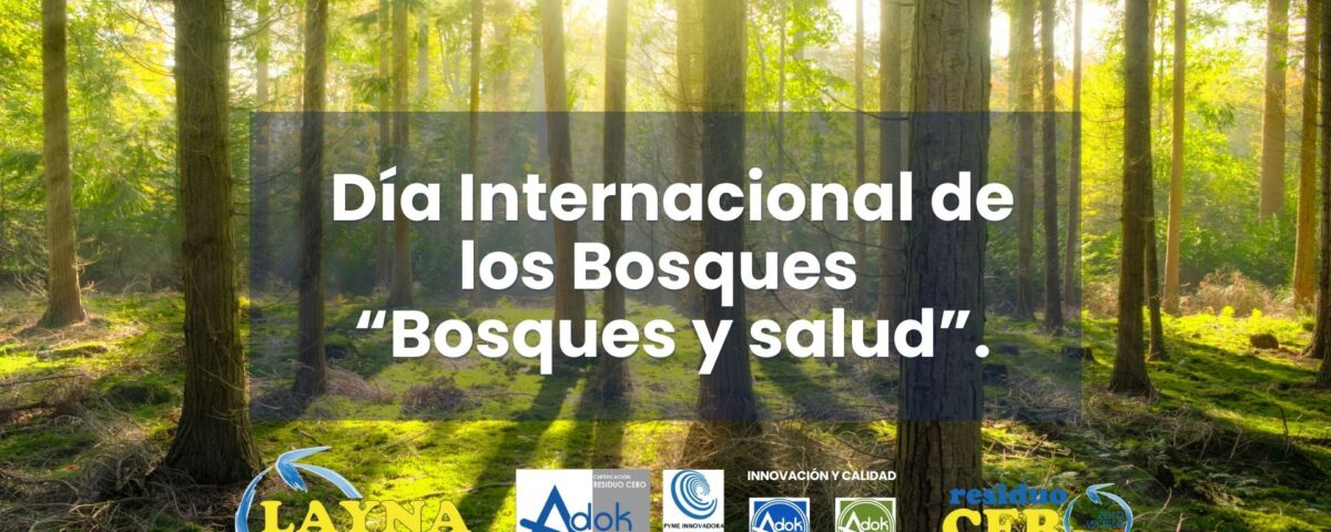 dia internacional de los bosques grupo layna
